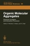 Organic Molecular Aggregates