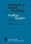 Auditory System