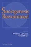 Sociogenesis Reexamined