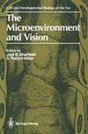 The Microenvironment and Vision