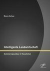 Intelligente Landwirtschaft: Sommerrapsanbau in Kasachstan