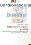 Lipogenèse de la paroi artérielle