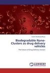 Biodegradable Nano-Clusters as drug delivery vehicles