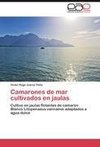 Camarones de mar cultivados en jaulas