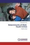 Determinants of Male   Youth Crimes