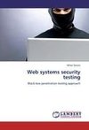 Web systems security testing