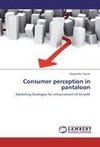 Consumer perception in pantaloon