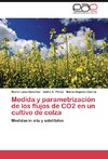 Medida y parametrización de los flujos de CO2 en un cultivo de colza