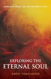 Tomlinson, A: Exploring the Eternal Soul - Insights from the