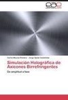 Simulación Holográfica de Axicones Birrefringentes