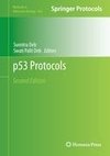 p53 Protocols