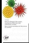 Role et devenir des corps nucleaires PML lors des infections virales