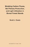 Modeling Carbon Fluxes, Net Primary Production and Light Utilization in Boreal Forest Stands