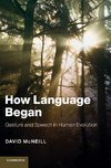 How Language Began