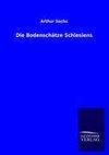 Die Bodenschätze Schlesiens