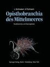 Opisthobranchia des Mittelmeeres