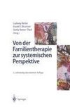 Von der Familientherapie zur systemischen Perspektive