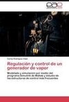 Regulación y control de un generador de vapor