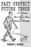 Past Perfect Future Tense