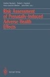 Risk Assessment of Prenatally-Induced Adverse Health Effects