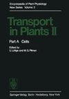 Transport in Plants II