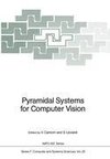 Pyramidal Systems for Computer Vision