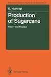 Production of Sugarcane