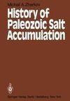 History of Paleozoic Salt Accumulation