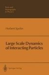 Large Scale Dynamics of Interacting Particles