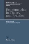 Econometrics in Theory and Practice