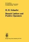 Banach Lattices and Positive Operators