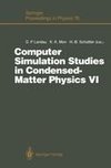 Computer Simulation Studies in Condensed-Matter Physics VI