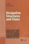 Dissipative Structures and Chaos