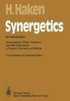 Synergetics