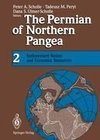 The Permian of Northern Pangea