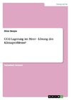 CO2-Lagerung im Meer - Lösung des Klimaproblems?