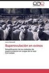 Superovulación en ovinos