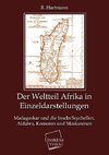 Der Weltteil Afrika in Einzeldarstellungen