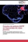 Canales de potasio KATP en hipocampo de ratas jóvenes