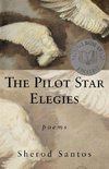 The Pilot Star Elegies