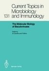 The Molecular Biology of Baculoviruses