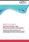 Camaroncito rojo, Pleuroncodes monodon