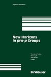 New Horizons in pro-p Groups