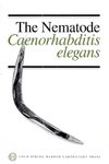 Nematode Caenorhabditis Elegans