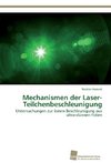 Mechanismen der Laser-Teilchenbeschleunigung