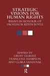 Strategic Visions for Human Rights