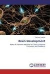 Brain Development