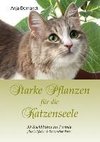 Starke Pflanzen für die Katzenseele