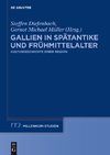 Gallien in Spätantike und Frühmittelalter