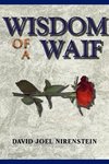 WISDOM OF A WAIF